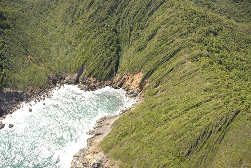 Вілла Carribbean Madicreole Au Carbet Ле-Карбе Екстер'єр фото